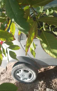 خرید خودروهای اسقاطی .فرسوده و تصادفی