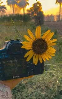 دوربین کنون