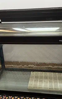 آکواریم
