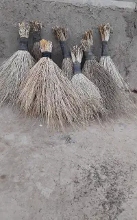 جارو