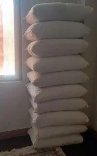 پشتی کلک