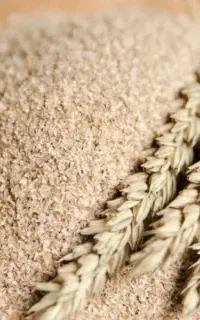 سبوس گندم ویزیتکا درجه یک مناسب خوراک دام