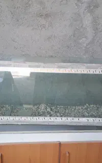 اکواریم