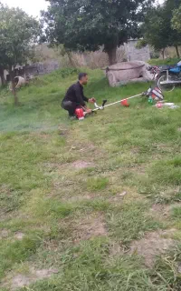 علف زنی با قیمت مناسب