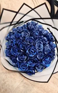 انواع گل ربانی شاخه ای ۲۵ تومان