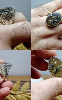 شجر ناب فردوس