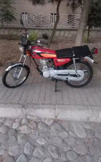 هوندا ژاپن مدل ۸۱