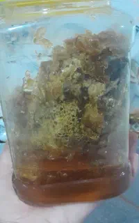 عسل زوروا