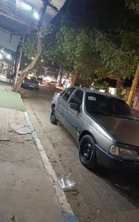 405دلفینی