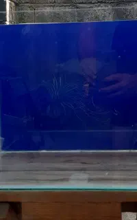 اکواریوم شیشه خم