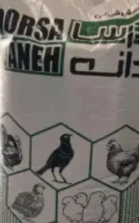 دانه مرغ تخمگذار درسا دانه
