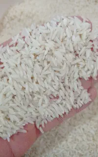 برنج با پخت عالی فقط برای مصرف کننده ۲۲۵۰۰۰