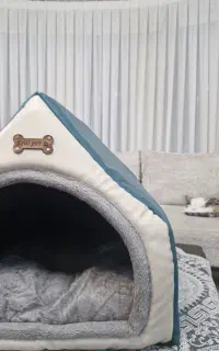 خونه گربه...