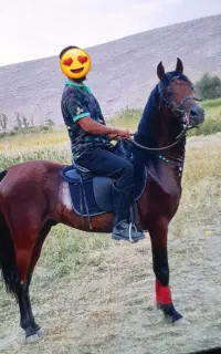 دونریان آس