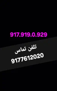 917.919.0929