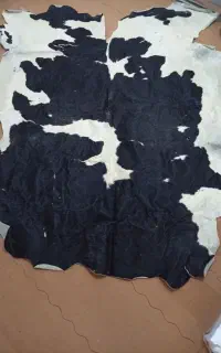 پوست گاو اصل
