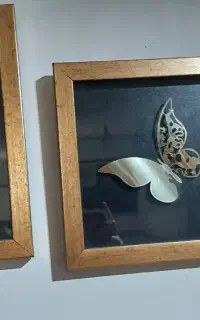 قاب شیشه خور تزئین خانه