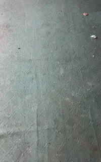 ۲ عدد موکت ظریف ۱۲ متری