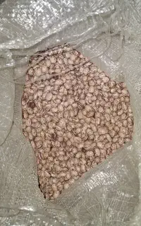 لوبیا چیتی