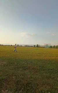 رینگ اسپرت پراید آلومینیومی
