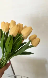 گل لاله وارداتی