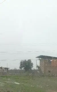 نگهبان زمین و باغ