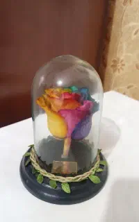 گل رز جاودان و گل رز مصنوعی
