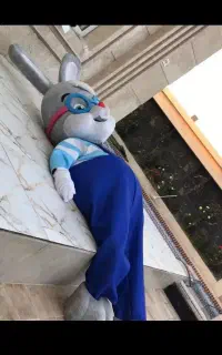 استخدام خانم‌