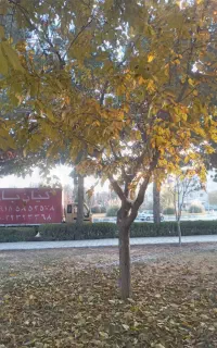 کیان بار بجنورد شهر وشهرستان      مخصوص شهرستان