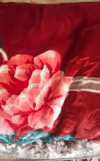 پتودونفره نونوهستش