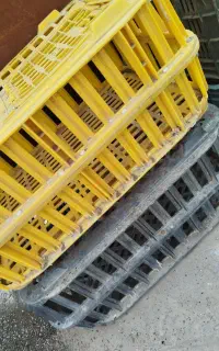 جعبه جوجه