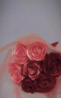 گل ربانی