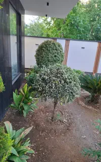 نیازمندزوج سرایدار
