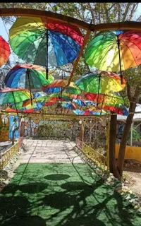کودکستان تا دبیرستان خلاق محور نوید