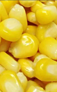 ذرت دون شده