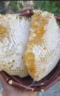 عسل کوهی