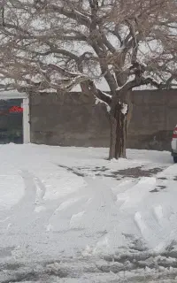ملک دارای ساخت سنگ سفید حاشیه جاده اصلی