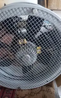 فن سه فاز به قطر تقریبی ۶۰سالم نونو در قوطی هست