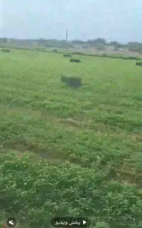 کارگر یا راننده تراکتور