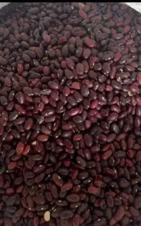 لوبیا قرمز خارجی