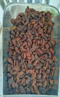 کشمش آفتاب خشک