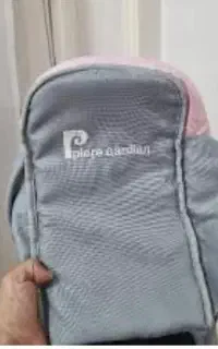 آغوشی پیرگاردین
