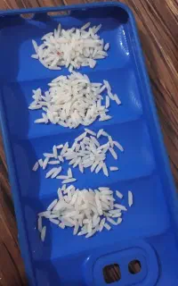 برنج دمسیاه