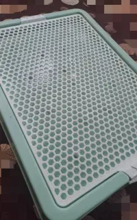 پارک بازی و سینی ادرار سگ خانگی