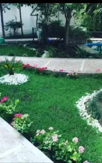 خدمات باغبانی طراحی فضای سبز گلکار ی کوددهی شهریار