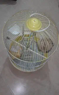 قفس پرنده سالم