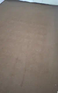 موکت طرح دار