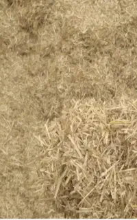 کاه دیم نرم درجه یک
