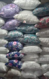 بالش