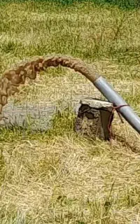 پمپاژ چاه آب و تمیزکردن ماسه با کفکش و موتور برق